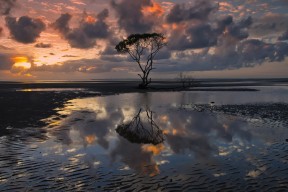 世界游泳接力队训练营成果与学员表现统计第四期公布，游泳接力赛世界纪录